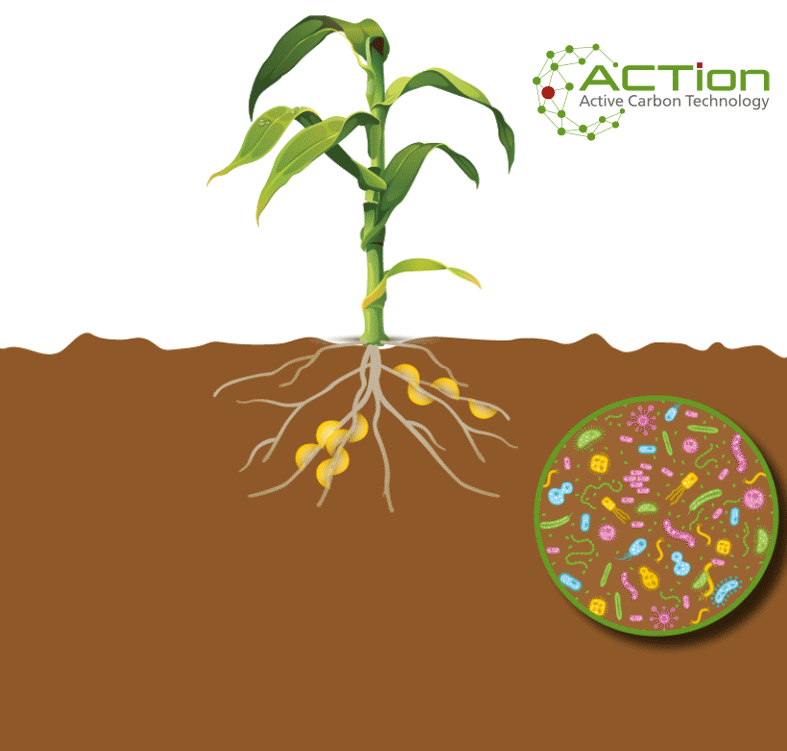 Metaboliții naturali ai plantelor și substanțele biologic active care stau la baza ACTion au un efect stimulant direct asupra plantei prin activarea creșterii sistemului radicular și a microflorei solului, precum și prin creșterea mobilizării nutrienților din sol și a disponibilității acestora prin modificarea proceselor chimice și biologice din rizosferă.
