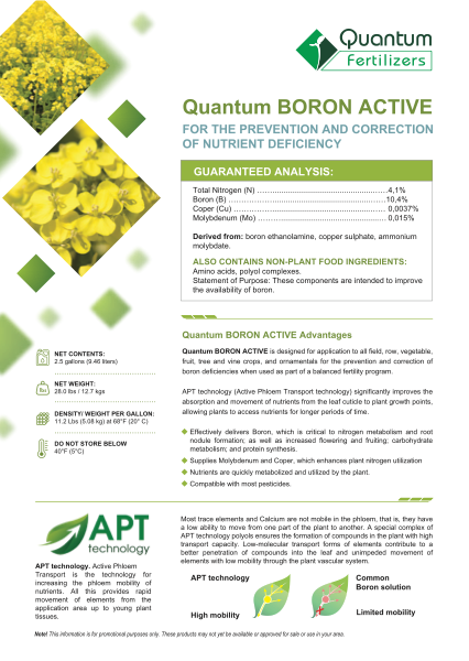 Quantum Boron Active