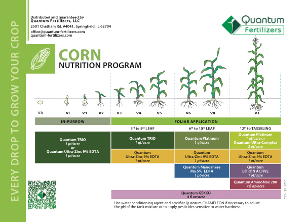 Program de nutritie porumb
